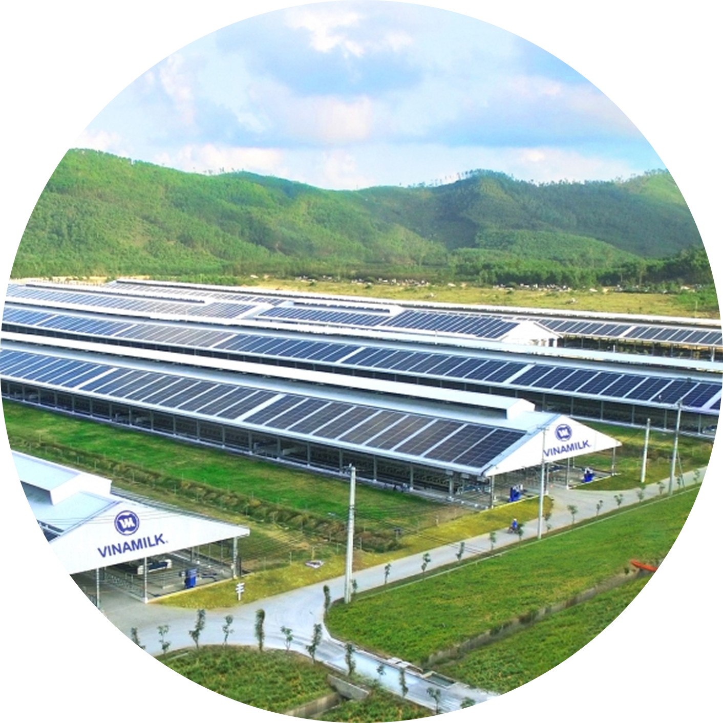 Mái nhà nông trại